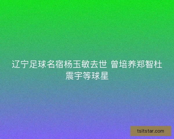 辽宁足球名宿杨玉敏去世 曾培养郑智杜震宇等球星