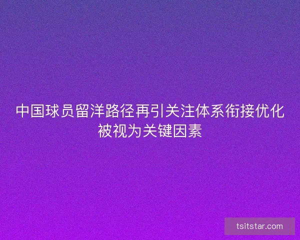 中国球员留洋路径再引关注体系衔接优化被视为关键因素